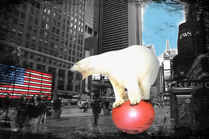 Polar bear in New York