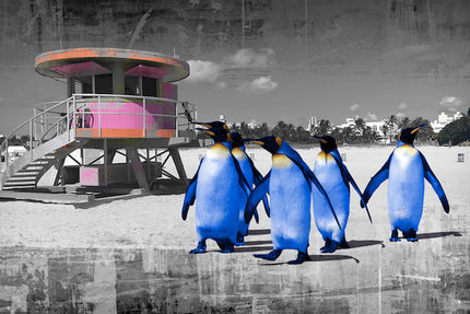 Beach Penguins