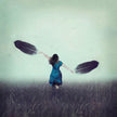 Sky´s the limit