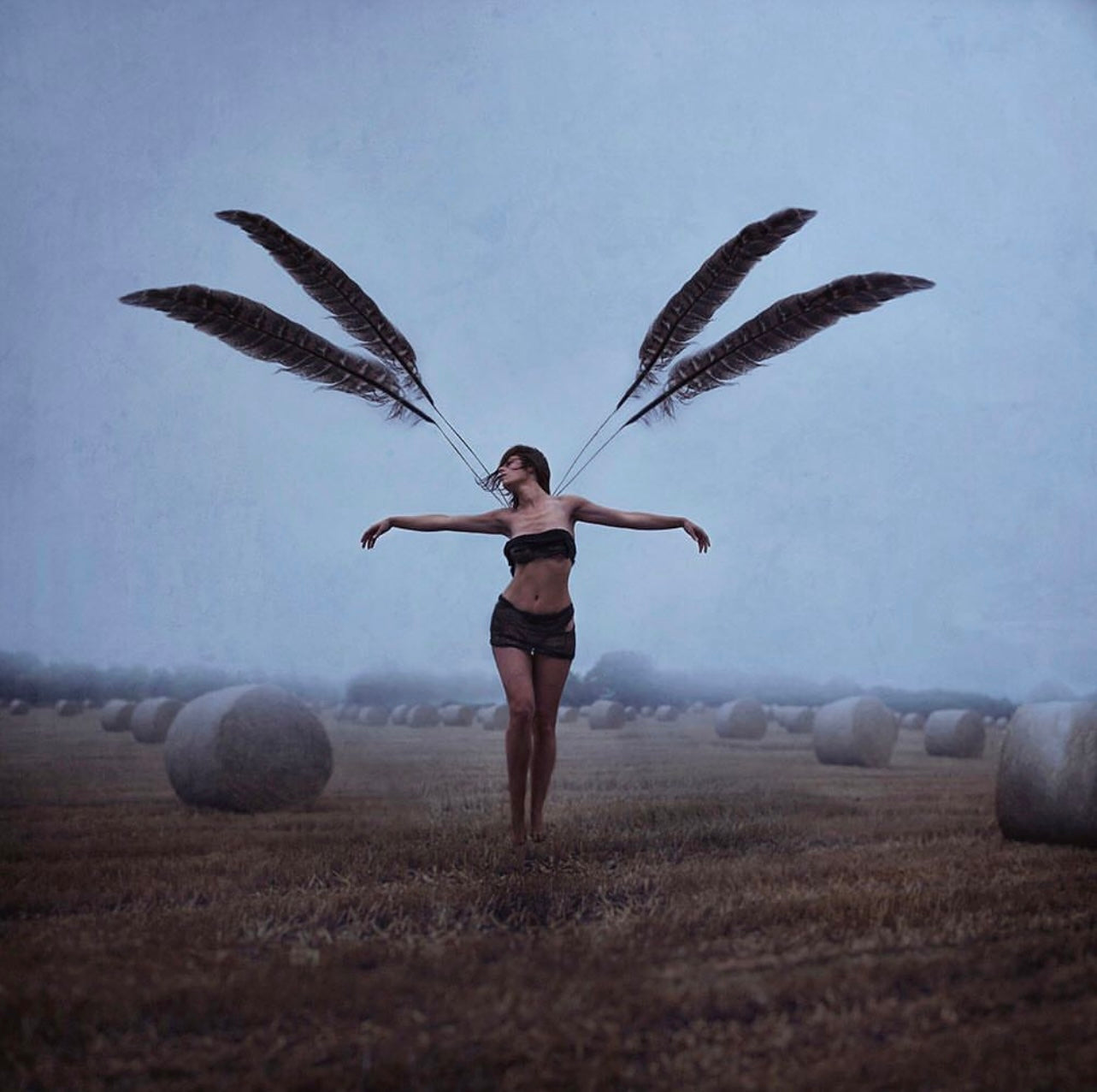 With brave wings she flies