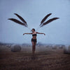 With brave wings she flies