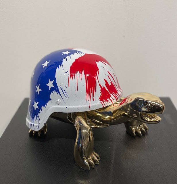 Turtle The American Dream