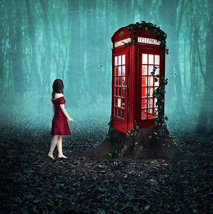 If you go down to the woods today