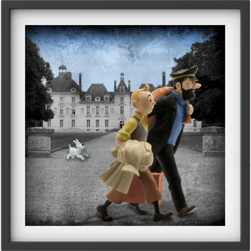 Tintin and New Adventures