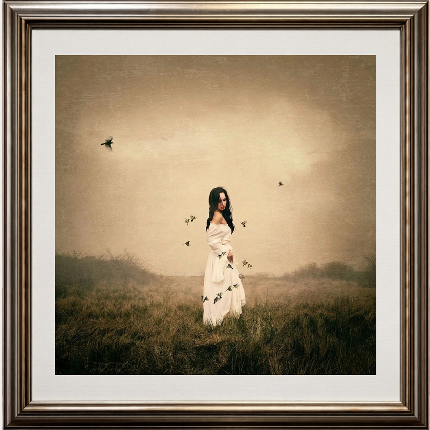 Song Bird