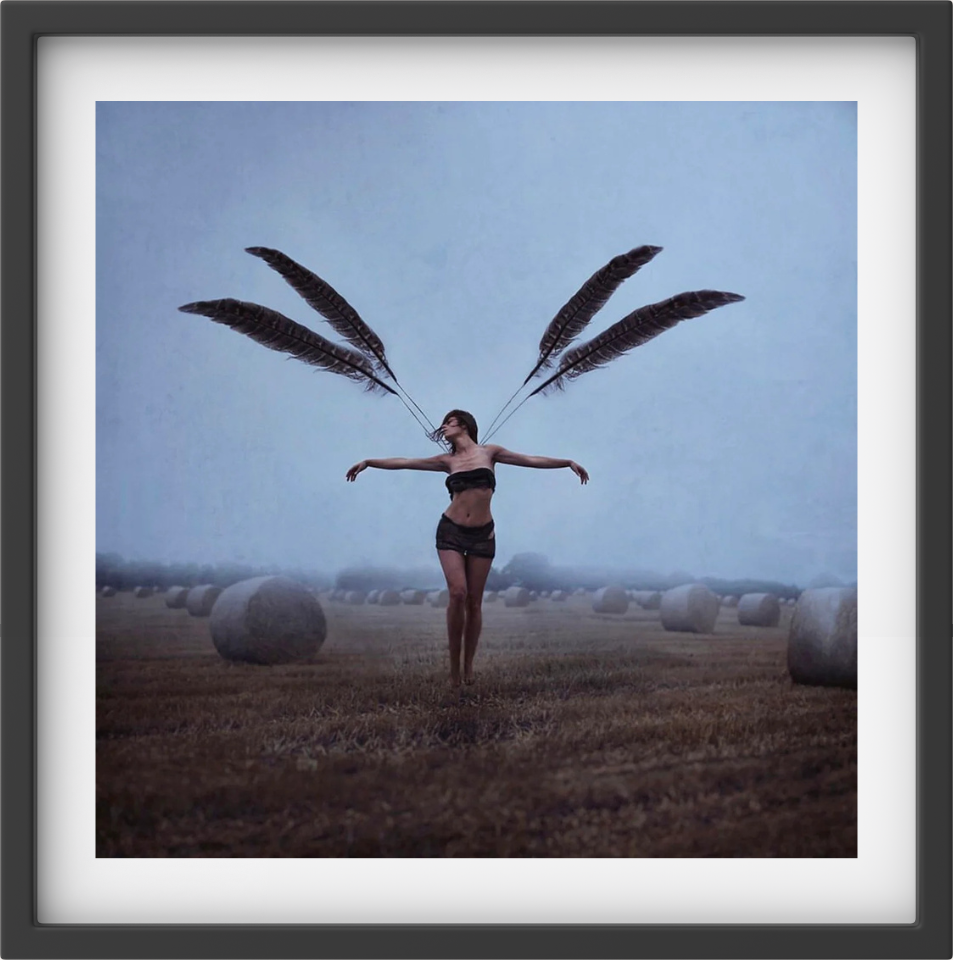 With brave wings she flies