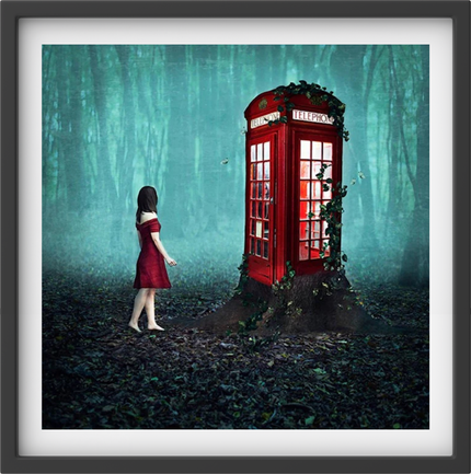 If you go down to the woods today