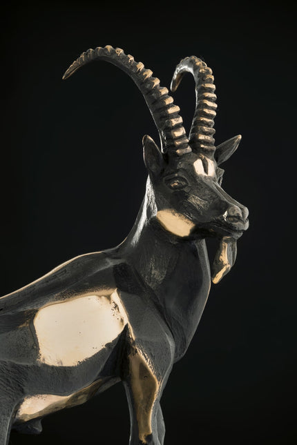 Social Climber on skyscrapers