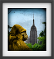 King kong