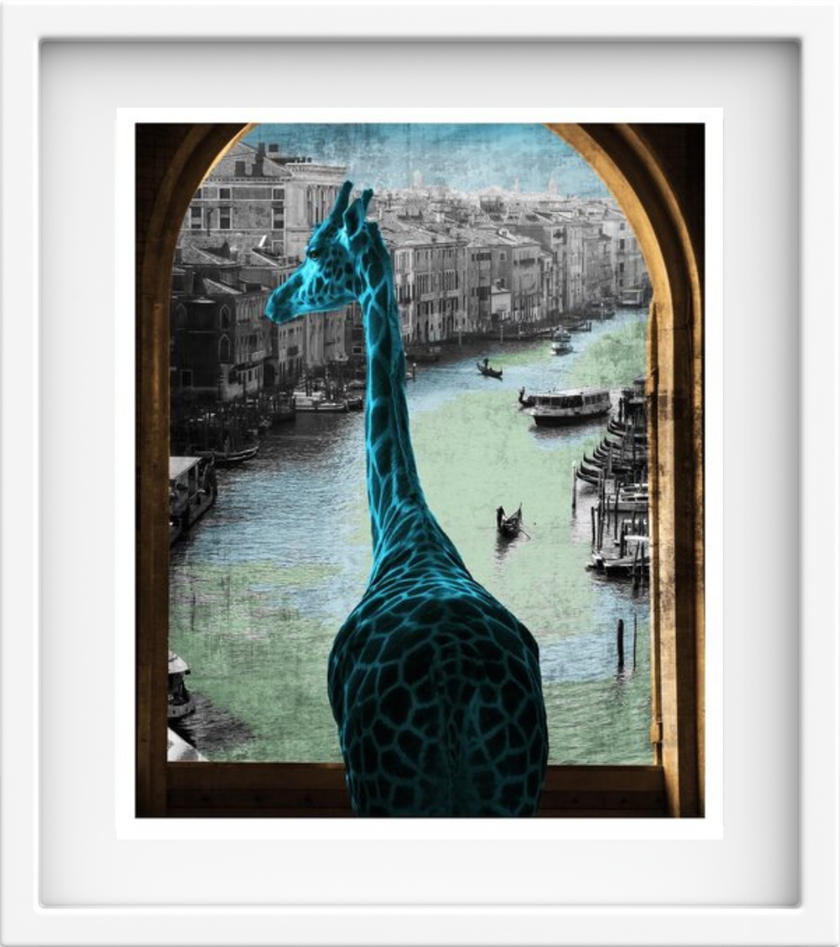 My Window view in Venice